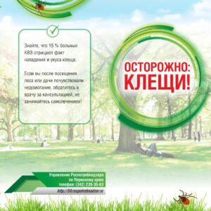 Новость