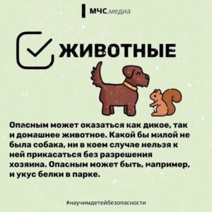 Новость