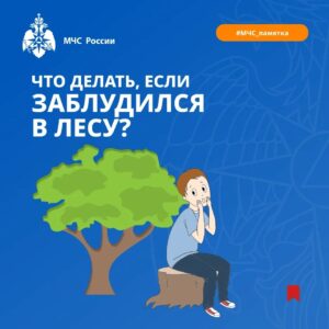 Новость