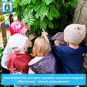 Новость